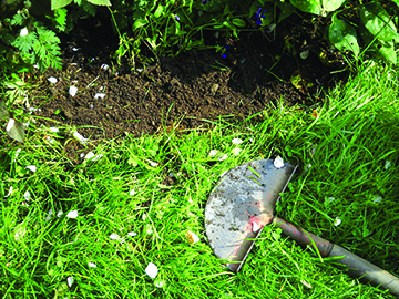 An edging tool helps create clean lines