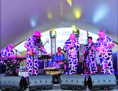 band dressed in cow suits play on stage
