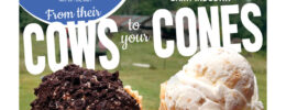 front cover of newspaper displaying two ice cream cones and text