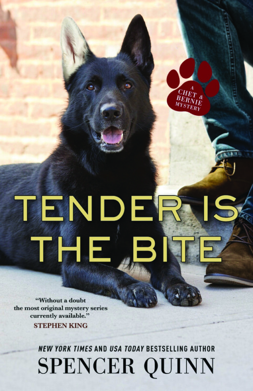 Tender is the Bite by Spencer Quinn