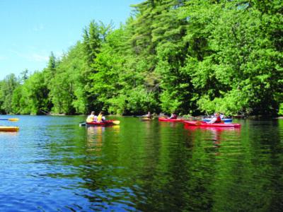 people in kayaks on the water on sunny day with trees behind