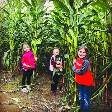 three kids posing with corn stalks in corn maze
