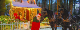 man dressed as Santa Claus standing in front of lighted house with horse and carriage