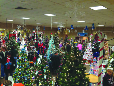 room full of decorated Christmas trees on display