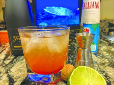 cocktail on countertop, surrounded by ingredients