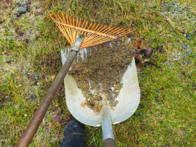 aluminum shovel and rake on ground in spring