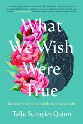 book cover for What We Wish Were True, by Tallu Schuyler Quinn