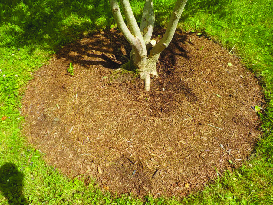 Mulch madness