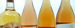 4 bottles of light colored wine on gray background