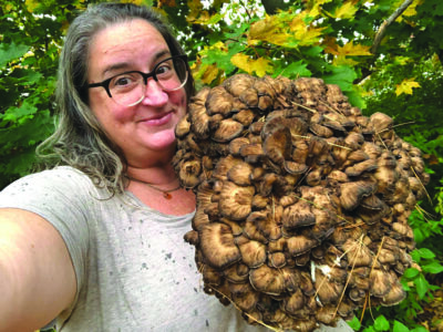 woman holding very large foraged mushroom