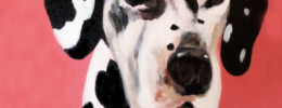 painting of dalmation
