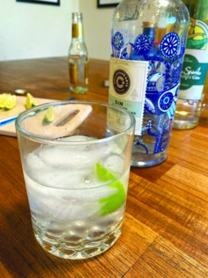 gin and tonic with lime and ice on table beside bottle of gin