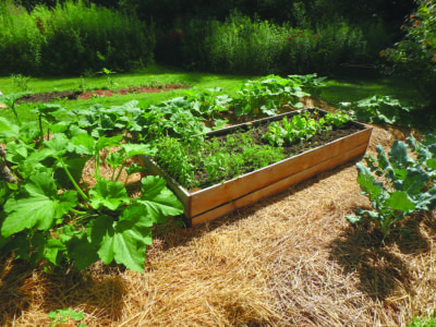 raised beds made with wooden slats in vegetable garden