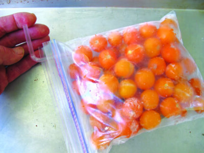 a zipped plastic food storage bag filled with cherry tomatoes, straw sticking out of one end of the closure