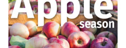 Hippo front page Apple season