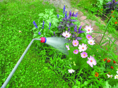 watering wand spraying bed of pink flowers