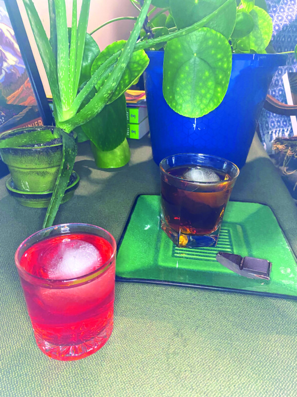 2 cocktails with ice cubes in rocks glasses, on table beside potted plants