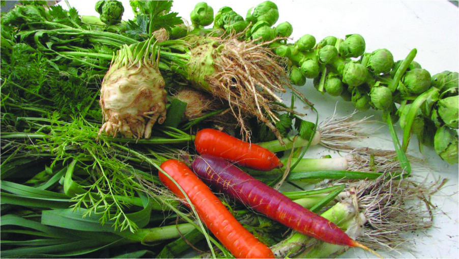 Include homegrown (or local) vegetables in your holiday feasts