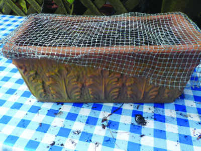 rectangular planter pot on table, top covered with wire mesh