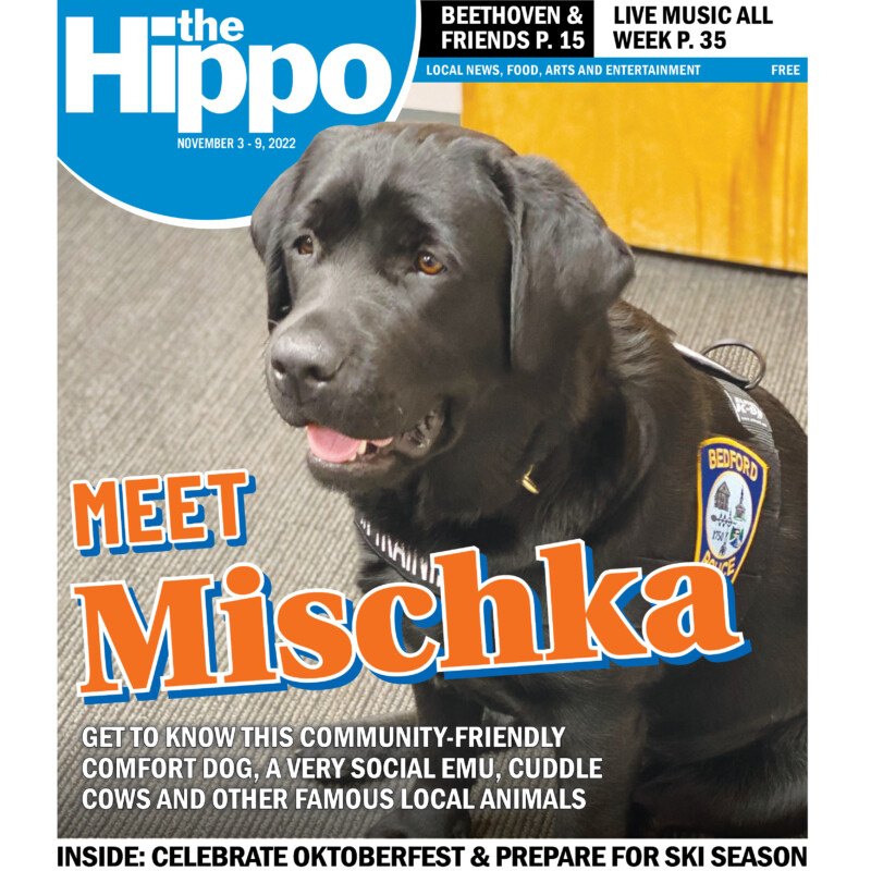 Meet Mischka — 11/03/22
