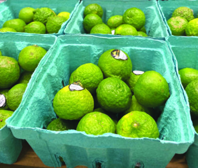 limes in cartons at grocery store