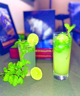 2 cocktails in high ball glasses with lime wheels and mint leaves
