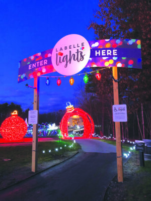 lighted entrance to Christmas light walk
