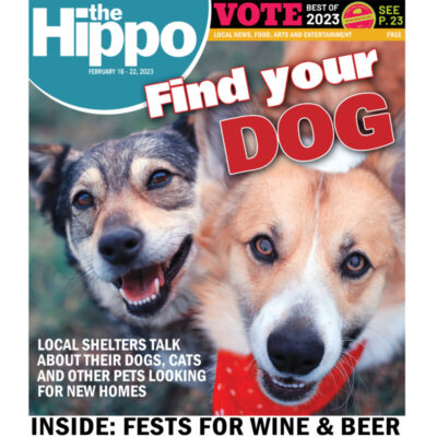 front page of hippo edition find your dog