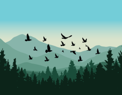 flat color illustration of forest with woods behind, bird silhouettes overhead
