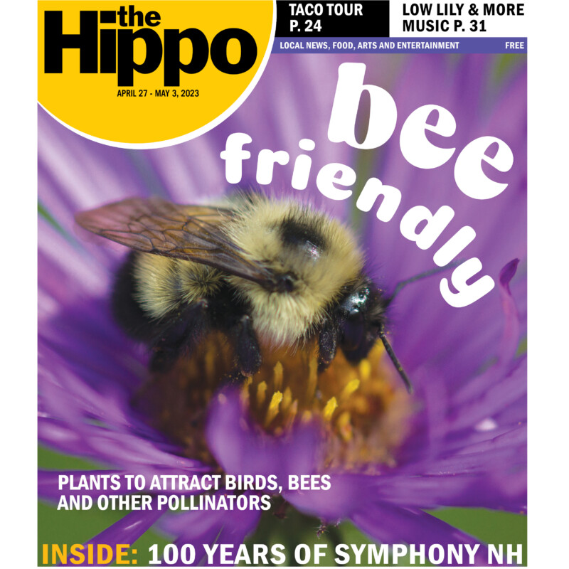 Bee friendly — 04/27/23