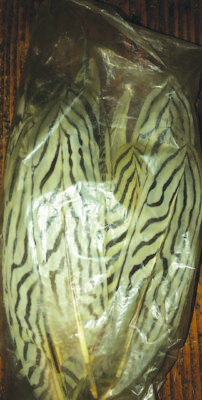 bag of large white feathers with black patterning