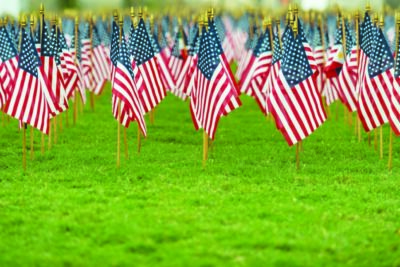 Rows of American flags on a green grass background with a shallo
