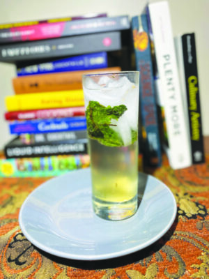 tall cocktail glass with mint leaves and ice