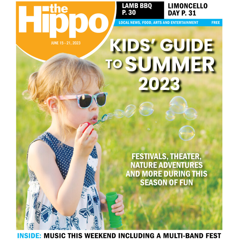 frontpage of Hippo showing small girl wearing summer dress and sunglasses blowing bubbles in grassy field