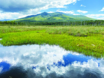 photo of a low mountain in the distance, foreground grassy wetland and pond reflecting clouds