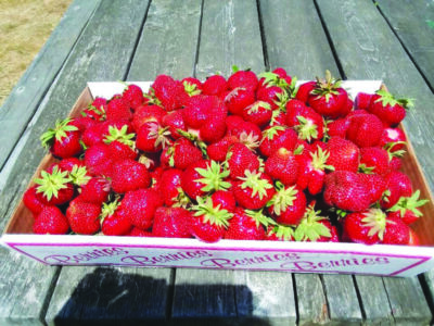 box of fresh strawberries sitting on wooden table