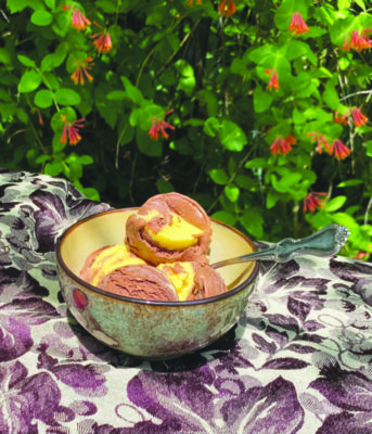bowl with multiple scoops of chocolate and mango swirled ice cream sitting on table in garden