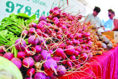 close up of pile of radishes on market table, receding into background out of focus, 2 out of focus people at end of table