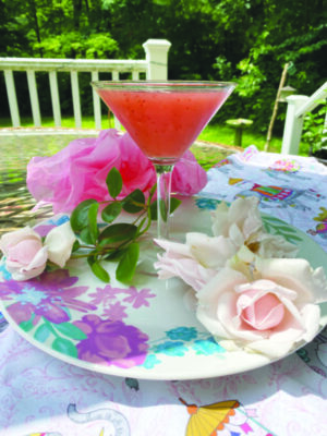 cocktail glass filled with red margarita, on plate on outdoor table, cut roses decorating plate