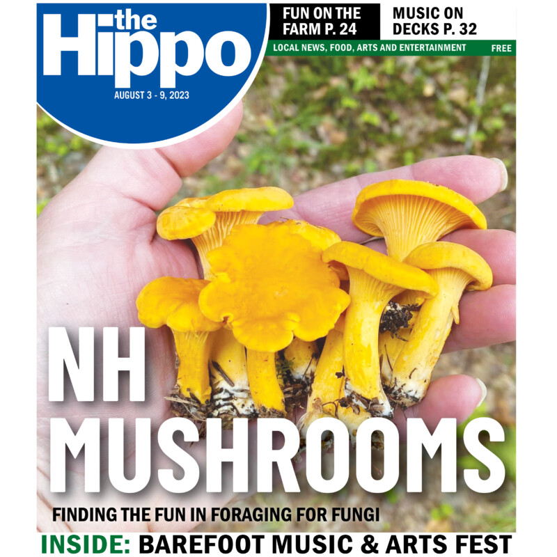 Hippo cover showing hand holding chantarelle mushrooms