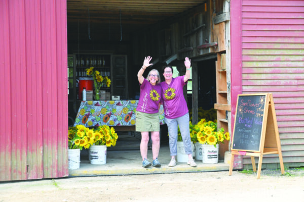 2 women wearing event shirts printed with sunflowers, standing in door of barn beside buckets of sunflowers, smiling and waving