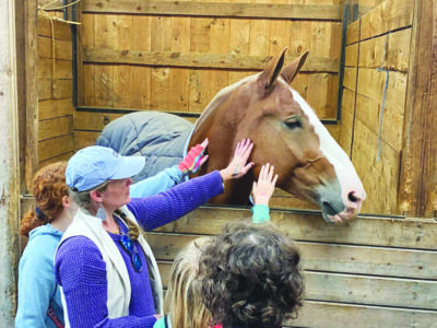 Deerfield Fair patrons petting a horse in a stable
