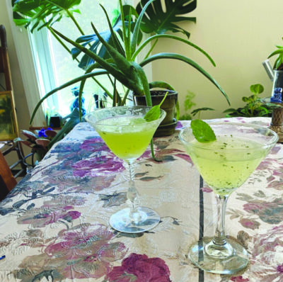 2 margarita glasses containing cocktails garnished with a mint leaf