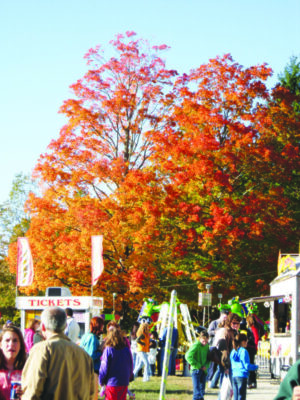 Photo of Warner Fall Foliage Festival