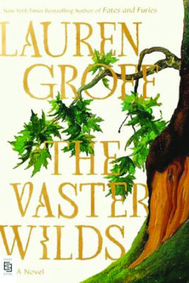 book cover for the vaster wilds by lauren groff