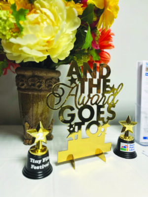 small award trophies with stars sitting beside vase with colorful flowers