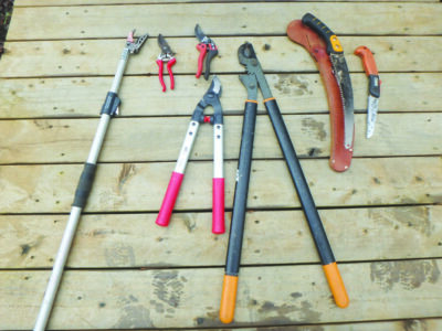 Set of tools for pruning a tree
