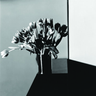 photograph of tulips in dark vase sitting on table in corner, black and white