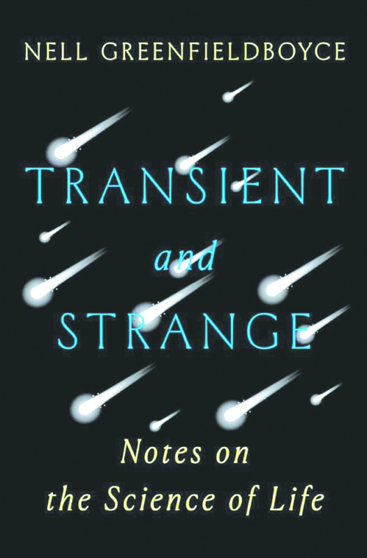Transient and Strange, by Nell Greenfieldboyce