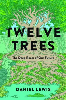 book cover for Twelve Trees showing illustrated tree with long roots